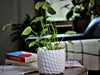 Art Decor Honeycomb Planter By Plantatorem