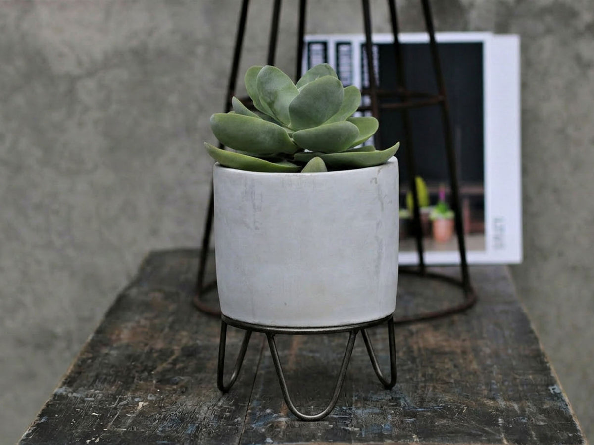 Cylinder Concrete Planter By Plantatorem
