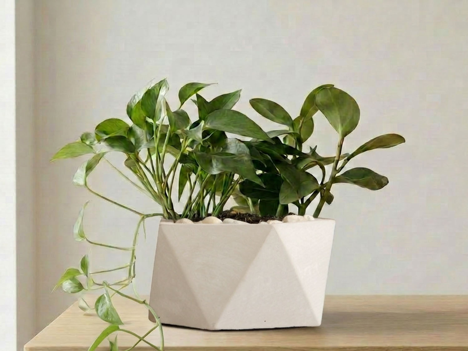 Geometry Pentagon Planter By Plantatorem