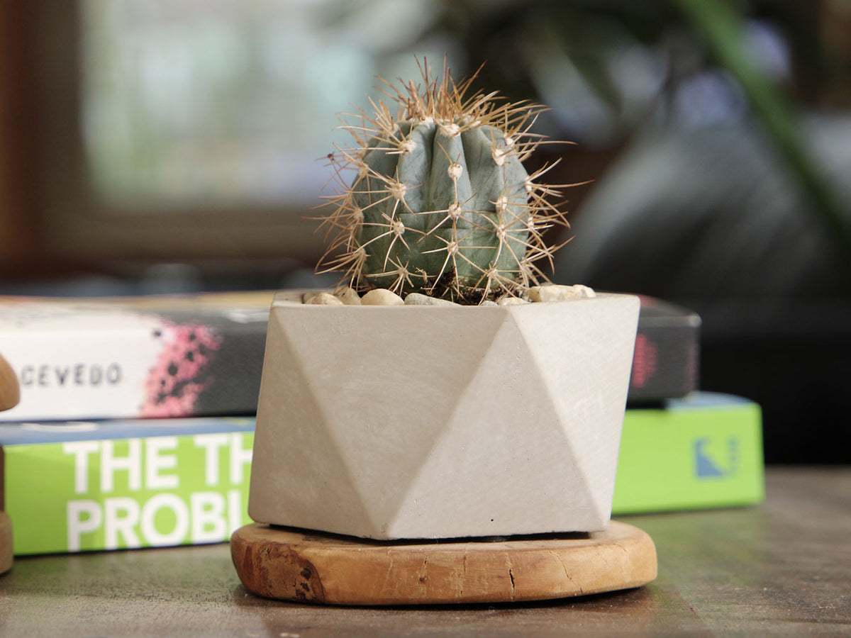Geometry Pentagon Planter By Plantatorem
