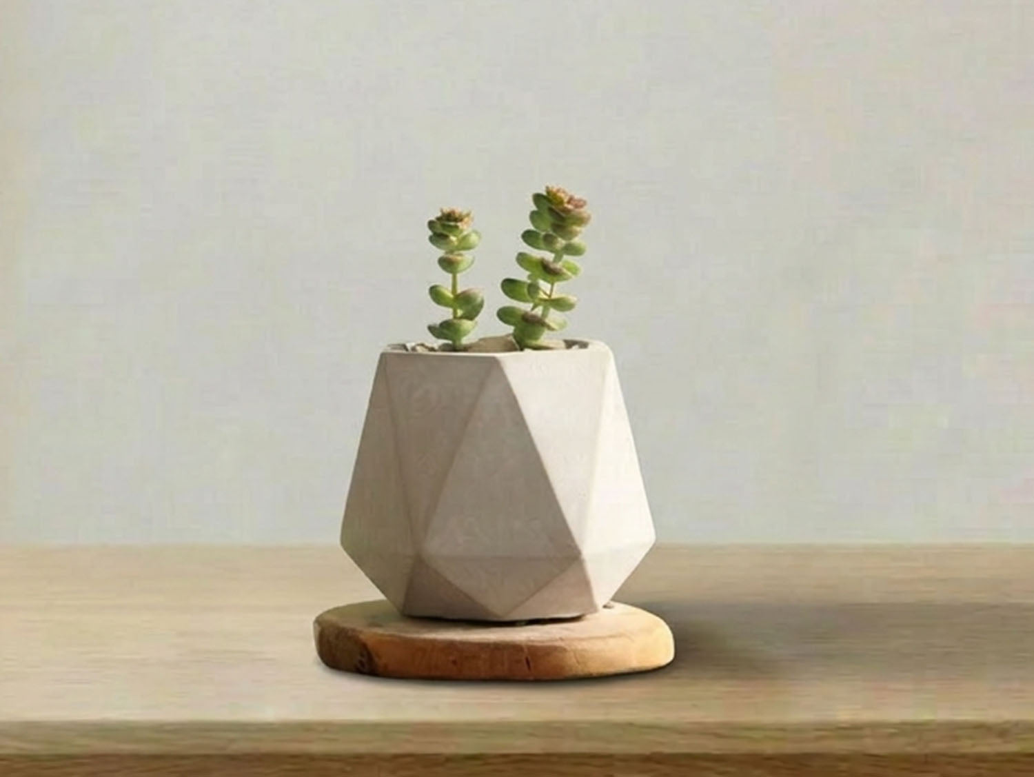 Geometry Skyline Tumbler Planter By Plantatorem