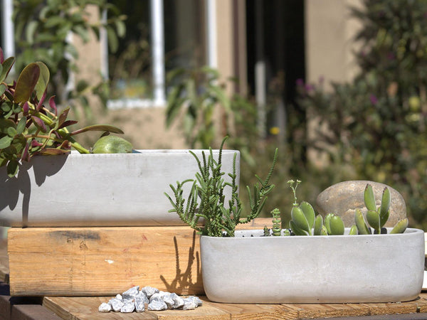 Low Oval Concrete Planter By Plantatorem