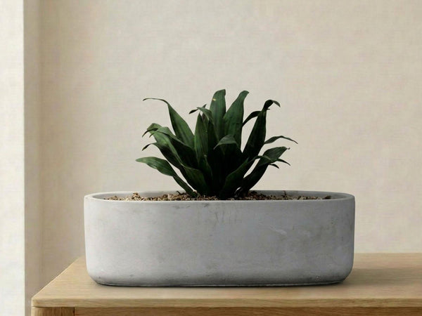 Low Oval Concrete Planter By Plantatorem