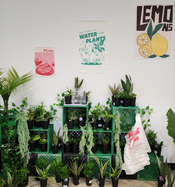 Plant Bar Plantita & Co. Bloom Bar & Studio