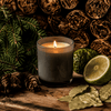 Dare Musk  Masculine Scent Candle