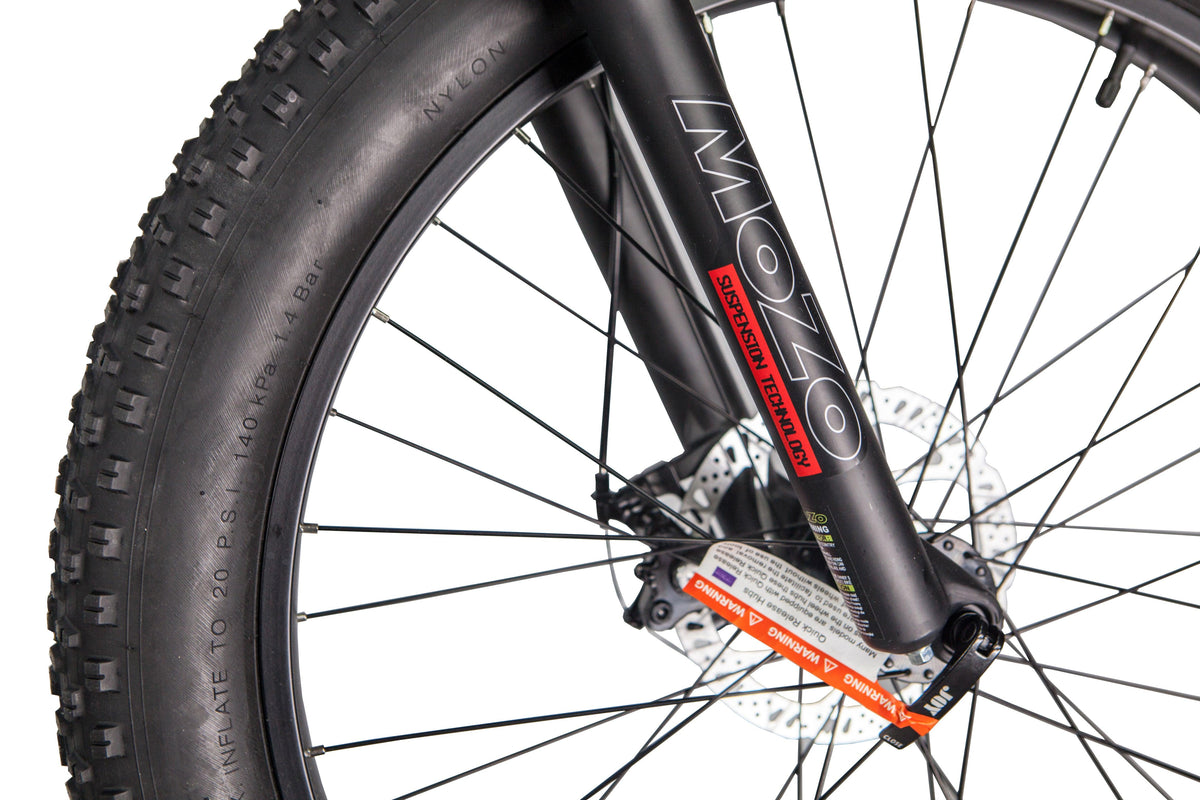 GlareWheel EB-PR Fat Tire Electric Mountain Bicycle
