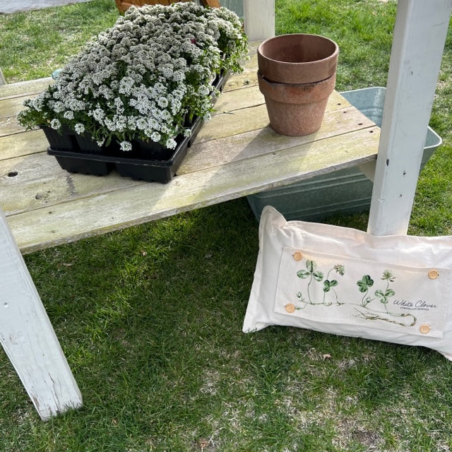 PANEL ONLY: RECTANGLE Botanical Shamrock St. Patrick's Farm Spring, Summer; WHITE CLOVER