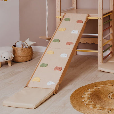 Playground Ladder