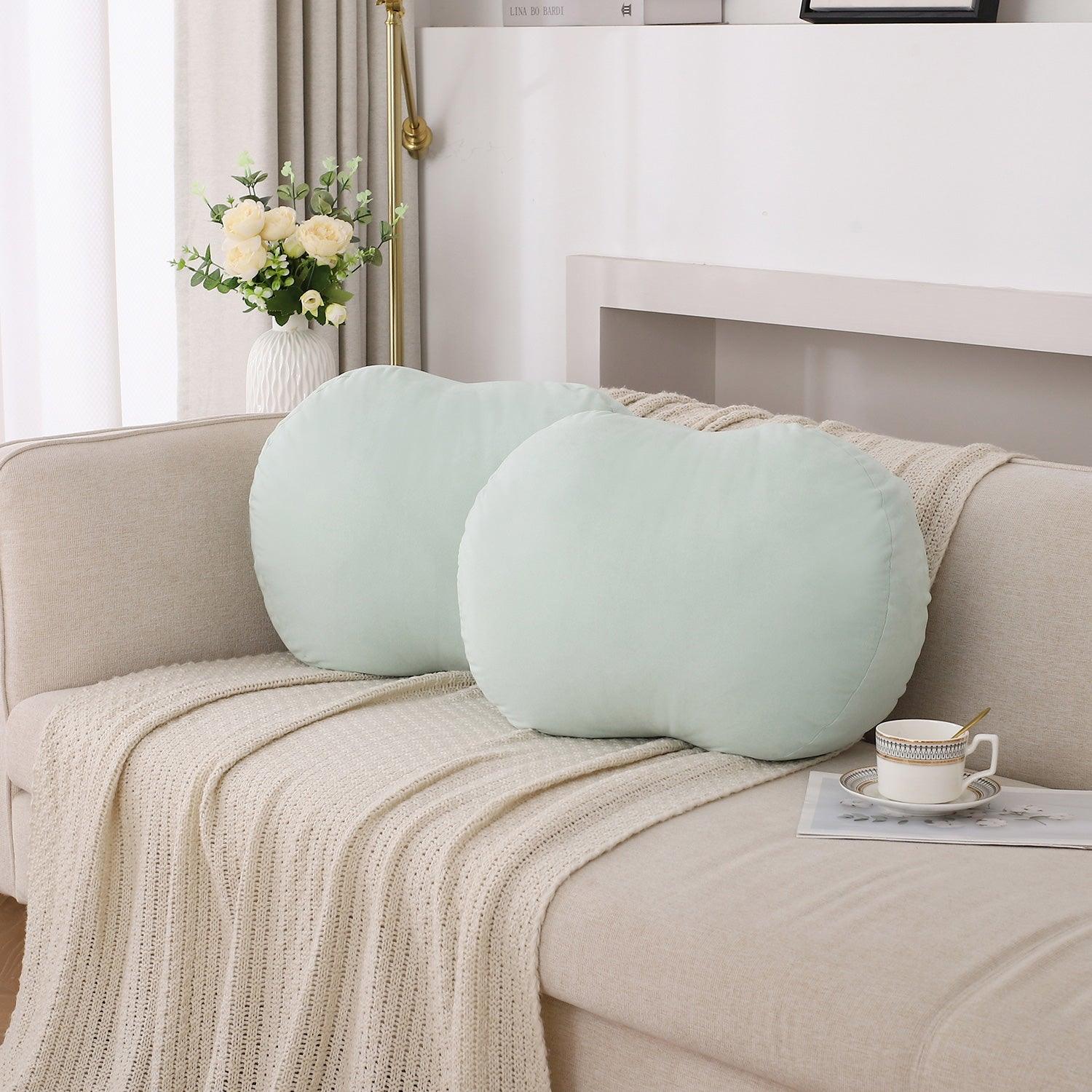 Closeout - Set of 2 Throw Pillows, 21