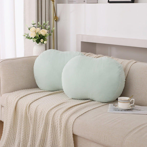 Closeout - Set of 2 Throw Pillows, 21