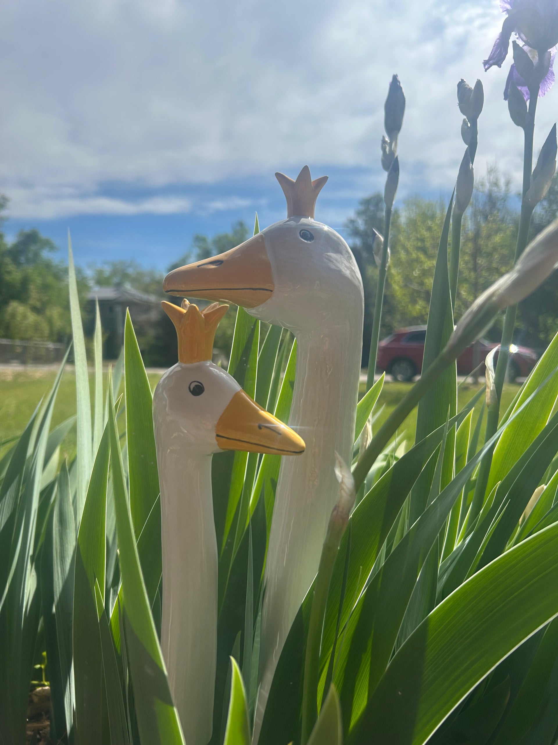 Crown Goose