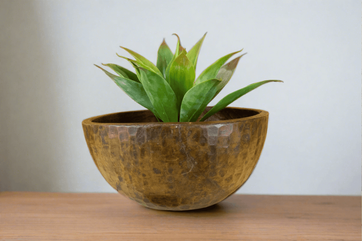 Mani Handhewn Nepalese Bowl