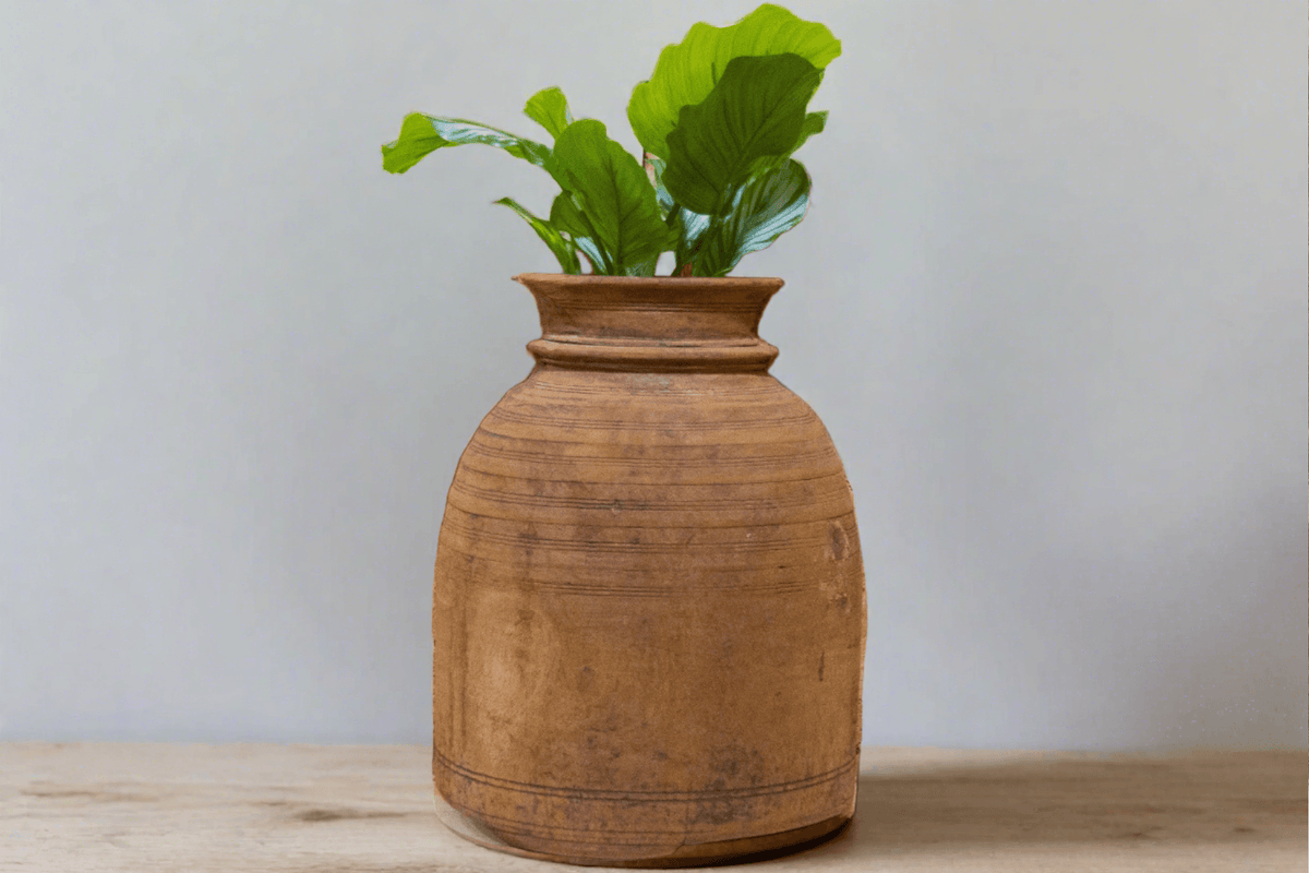 Bahi Nepalese Tribal Ghee Pot