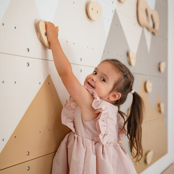 Indoor Climbing Wall
