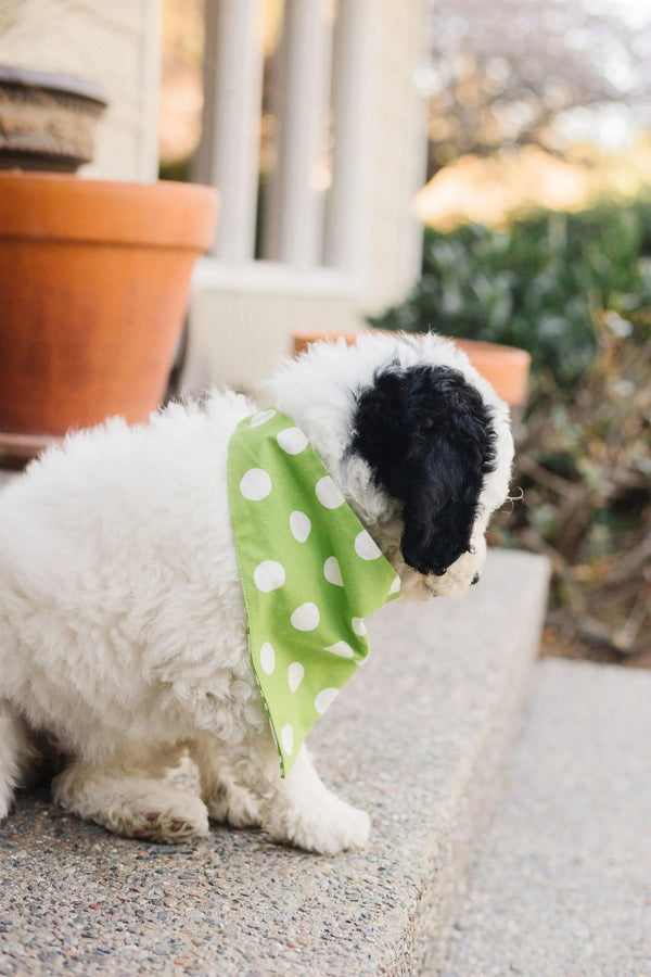 Lime Green Chevron Reversible Dog Bandana - Gifts for You 'n Me
