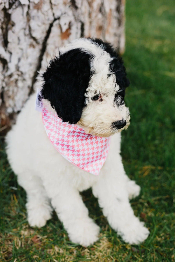 Baby Pink Houndstooth Reversible Dog Bandana - Gifts for You 'n Me
