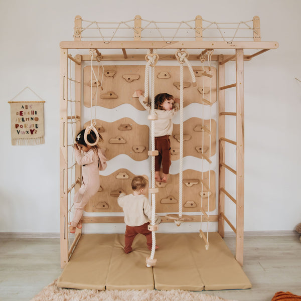 Monkey Bars Jungle Gym