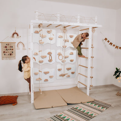 Monkey Bars Jungle Gym