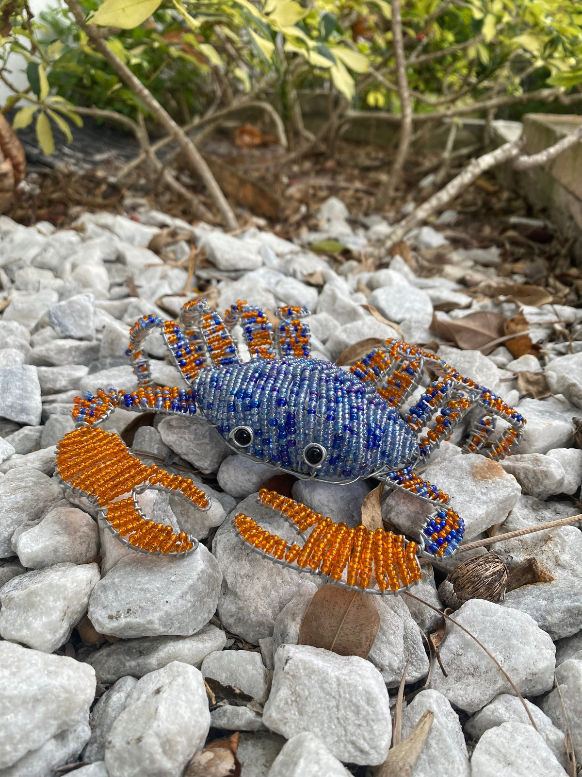 Blue Crab