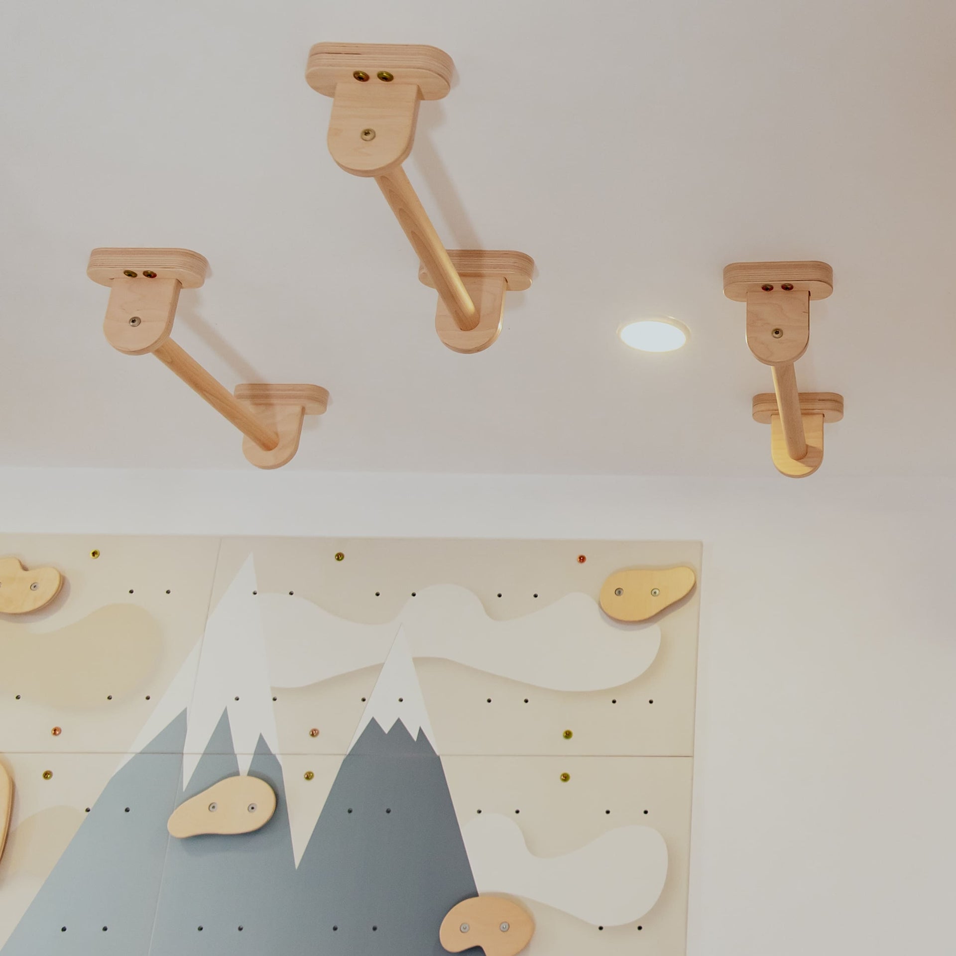 Monkey Bars Kit