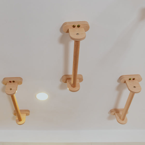 Monkey Bars Kit