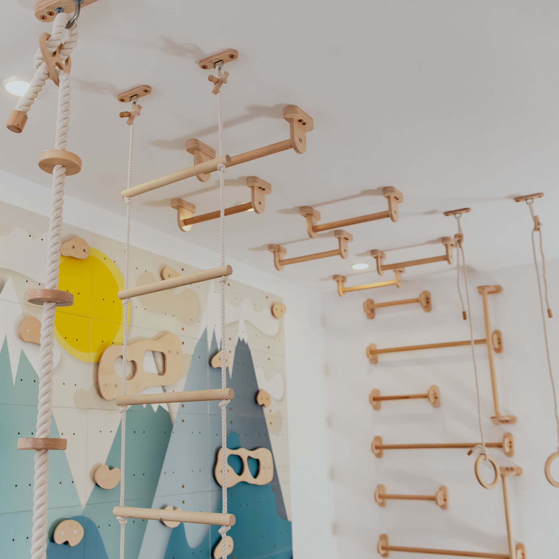 Monkey Bars Kit