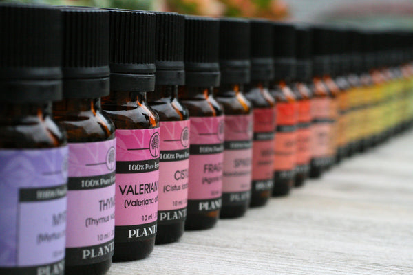 Spikenard Essential Oil