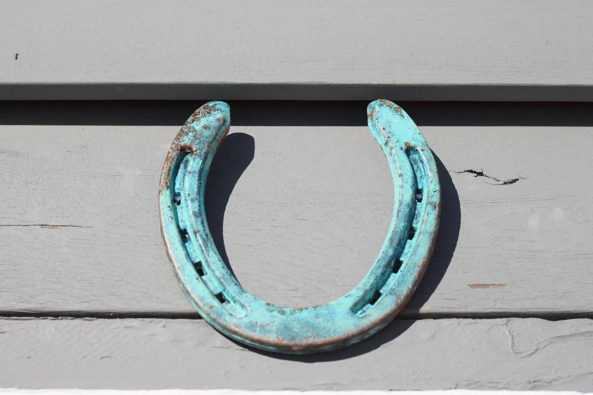 Oxidized Horseshoe - Gifts for You 'n Me