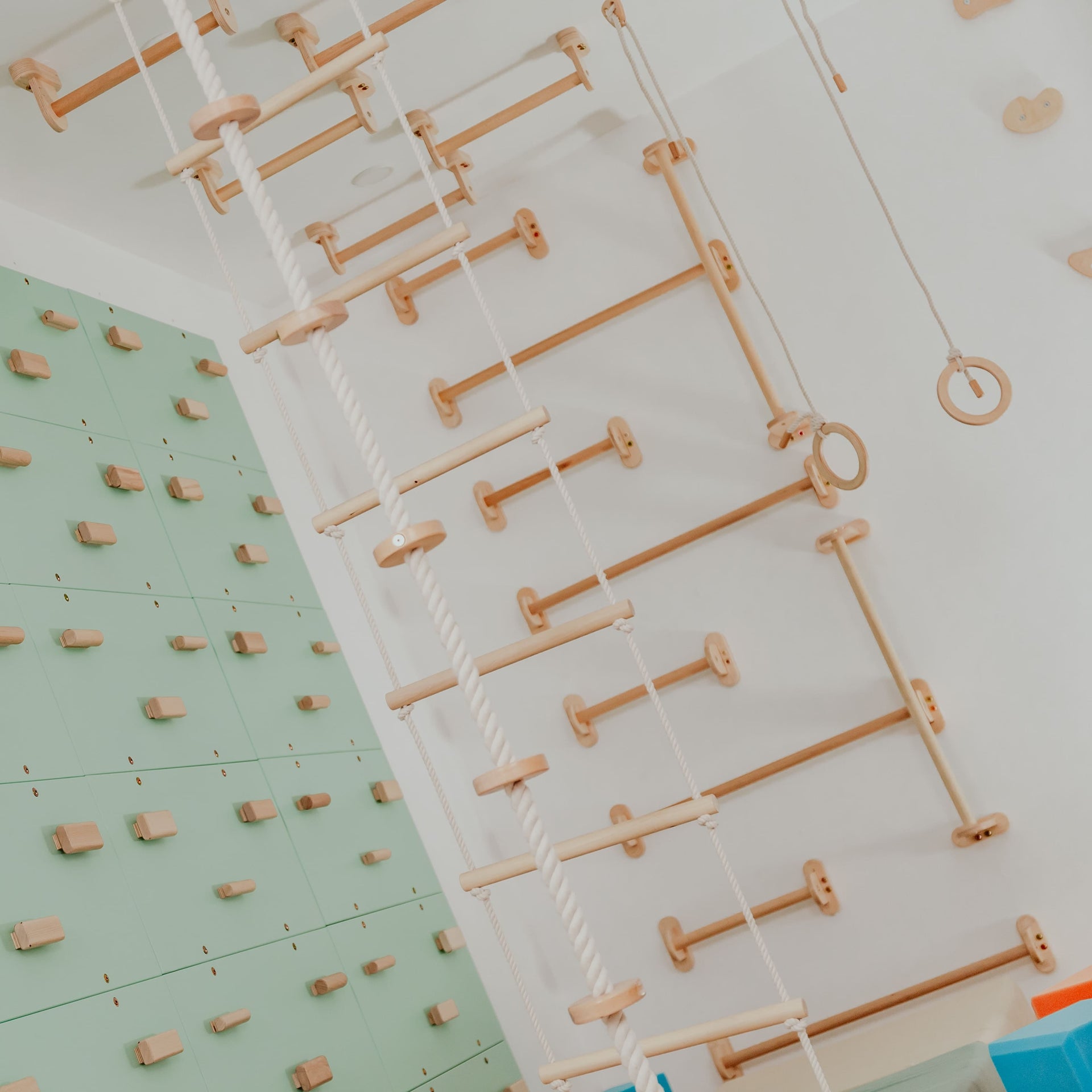 Home Monkey Bars