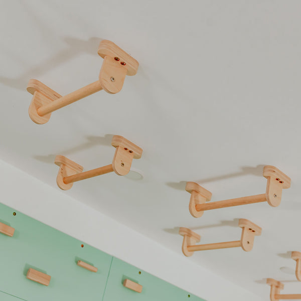 Monkey Bars Kit