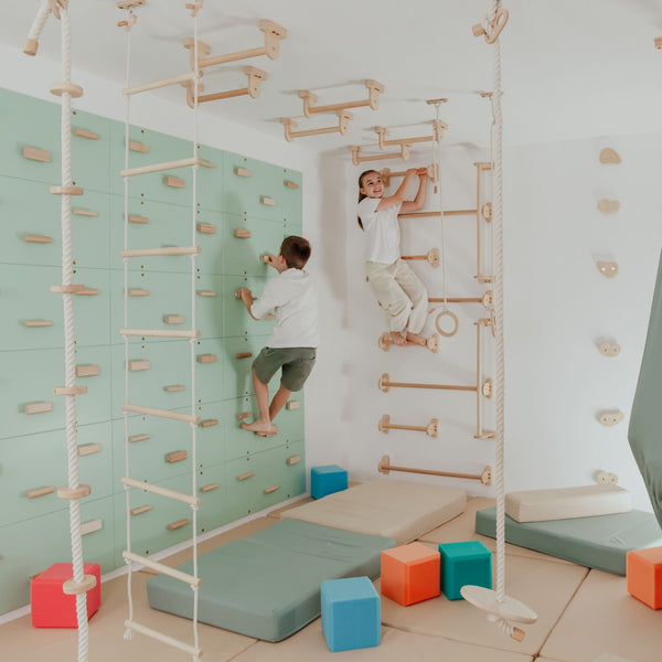 Home Monkey Bars