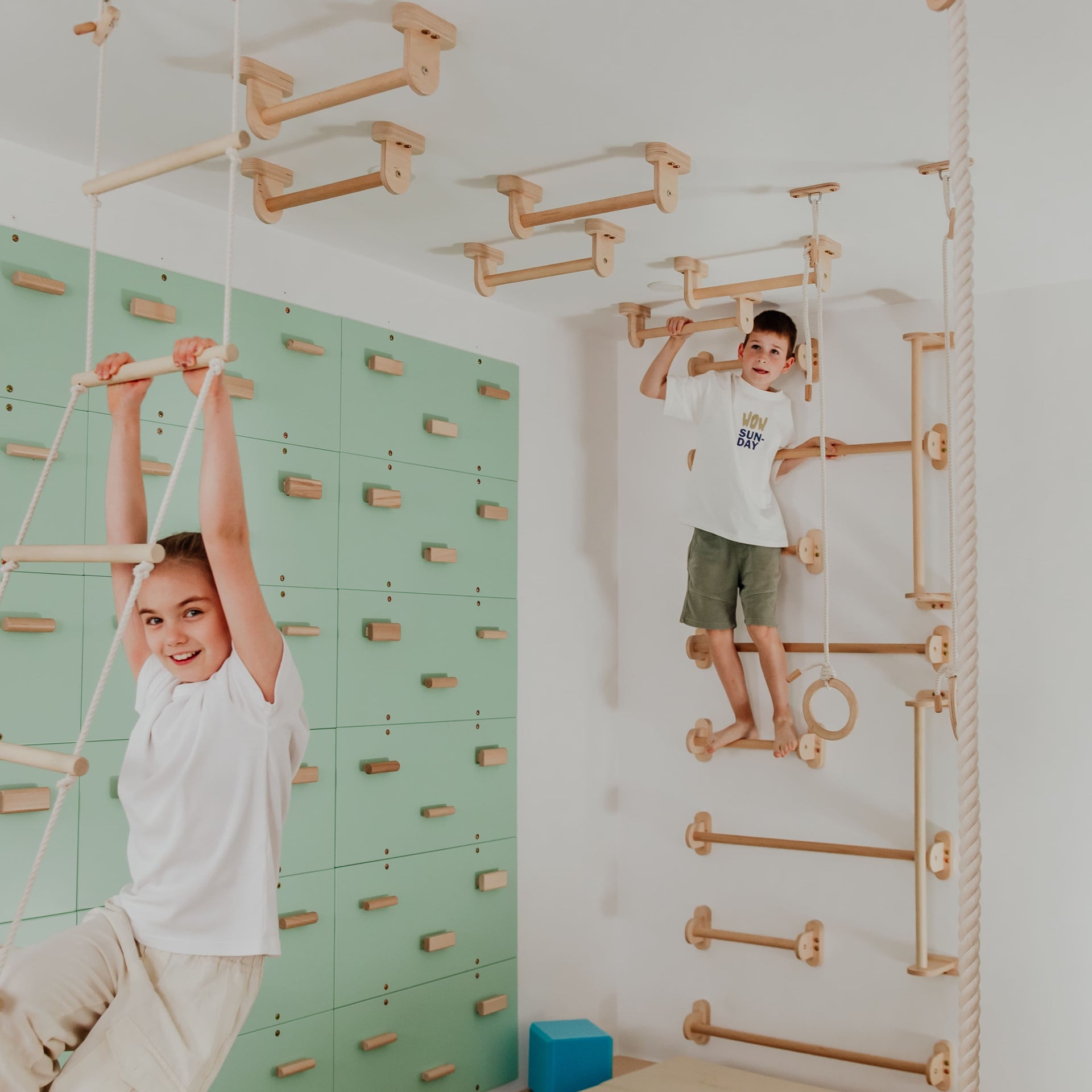 Home Monkey Bars
