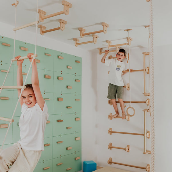 Home Monkey Bars