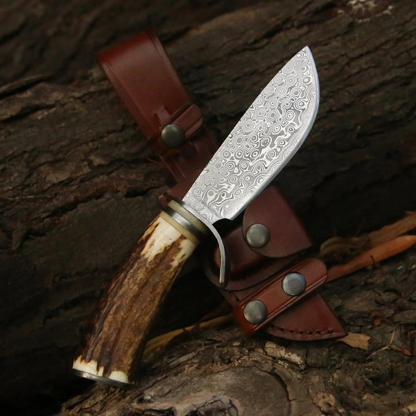 Serpent Damascus Hunting Knife with Antler Handle - Gifts for You 'n Me