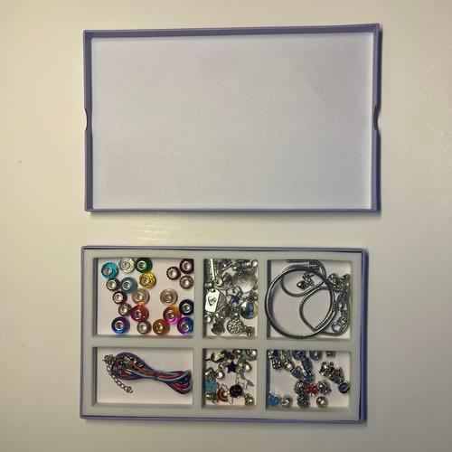 Charm Bracelet Making Kit, Crafts for kids 8-12 Years (66 Pieces)