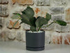 Carmel Attached Saucers Planters