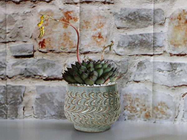Tear Drop Planter Cup