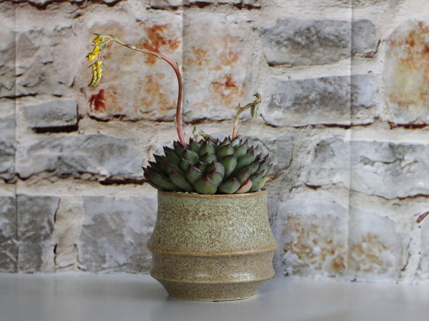 Santa Barbara Planters