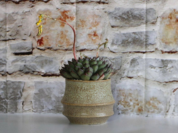 Santa Barbara Planters