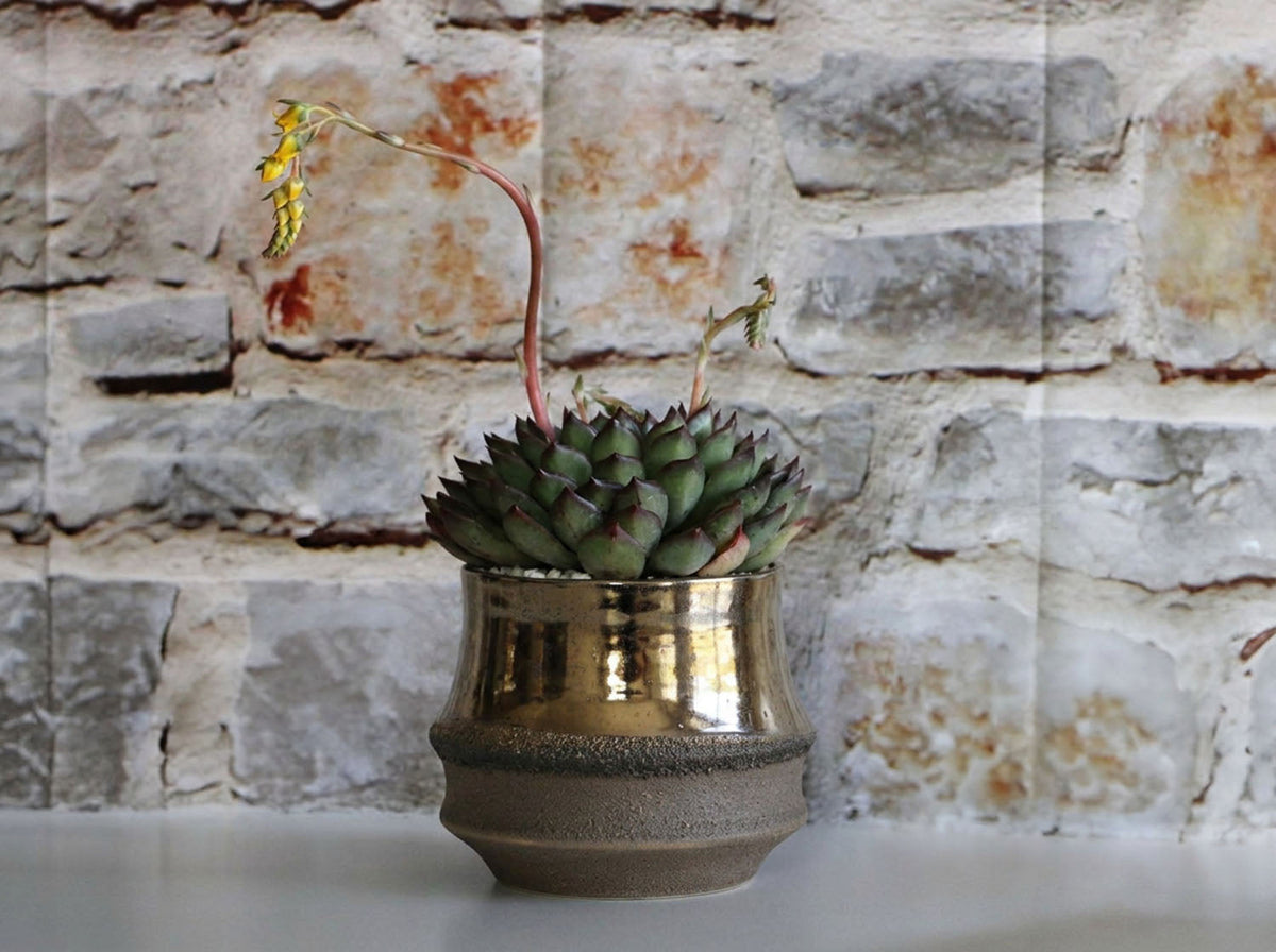 Santa Barbara Planters
