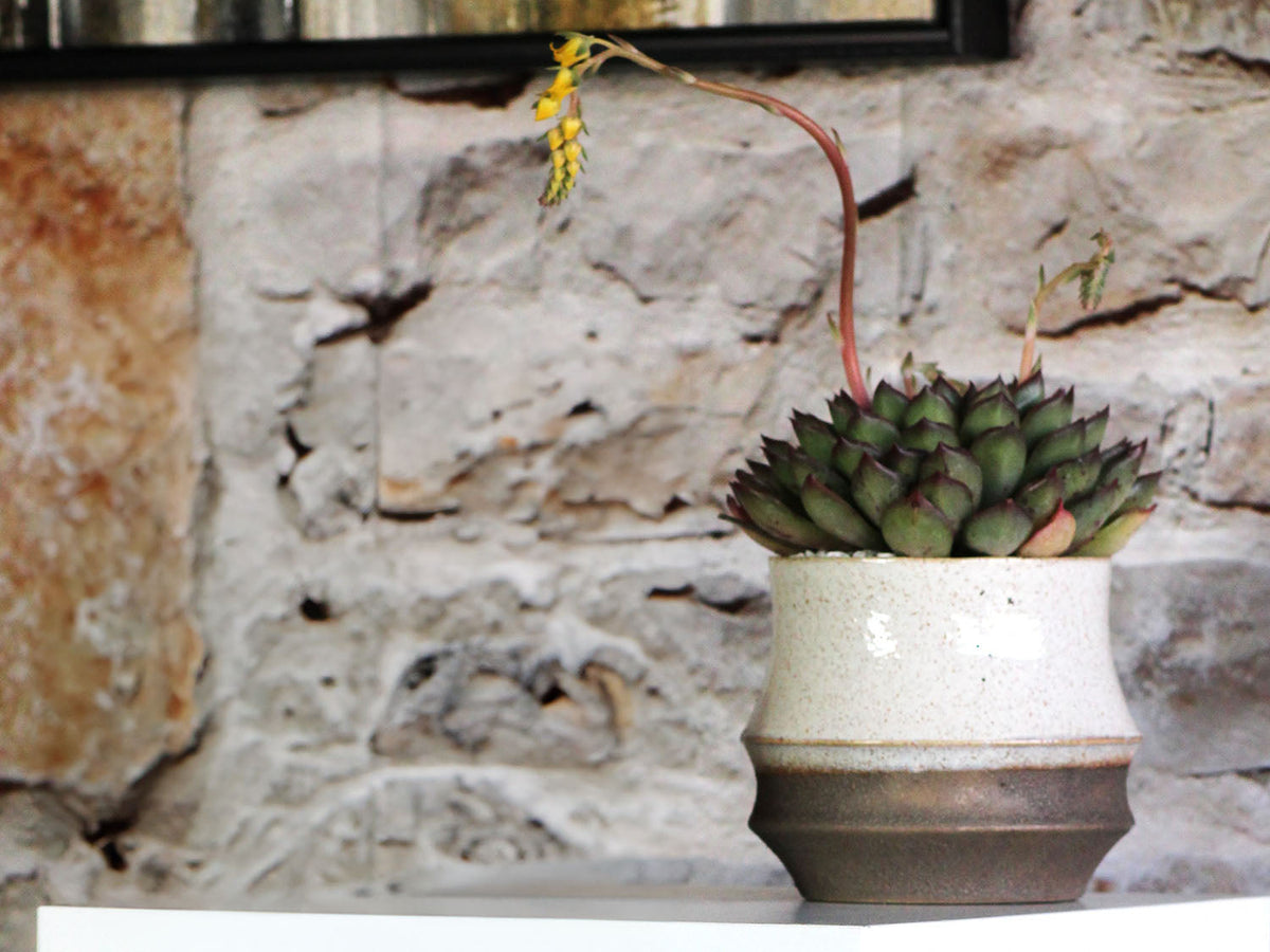 Santa Barbara Planters