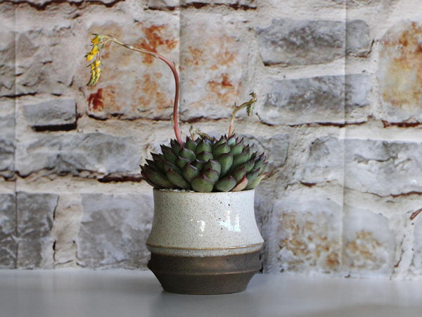 Santa Barbara Planters