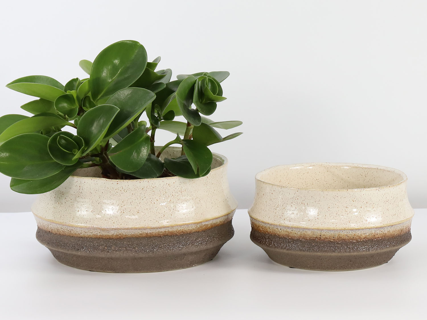 Santa Barbara Bowls