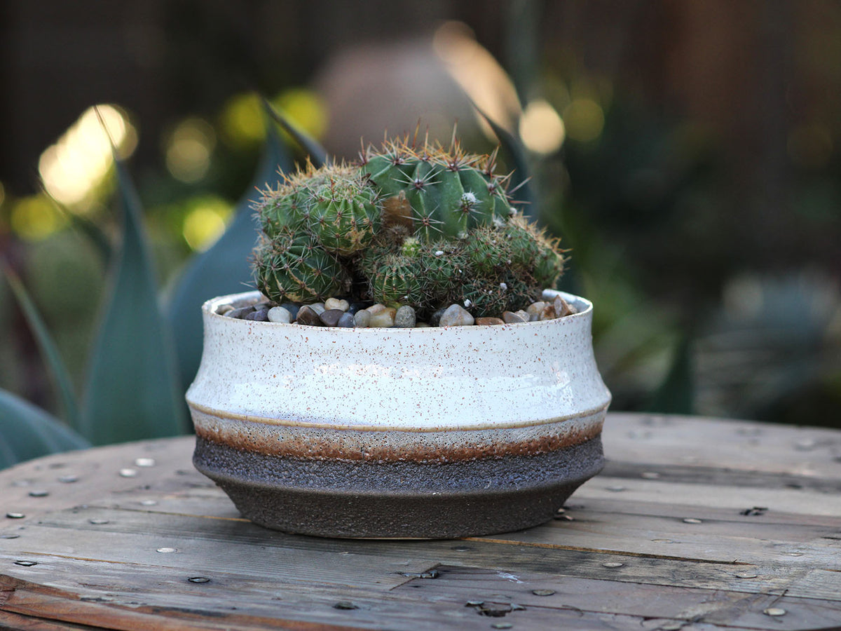 Santa Barbara Bowls