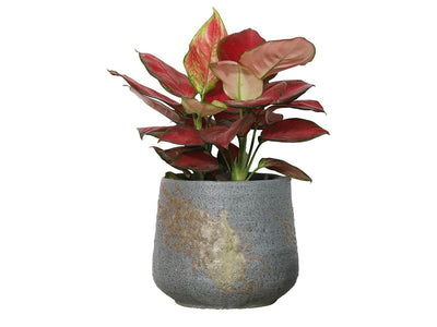 Round Hand Formed Planter