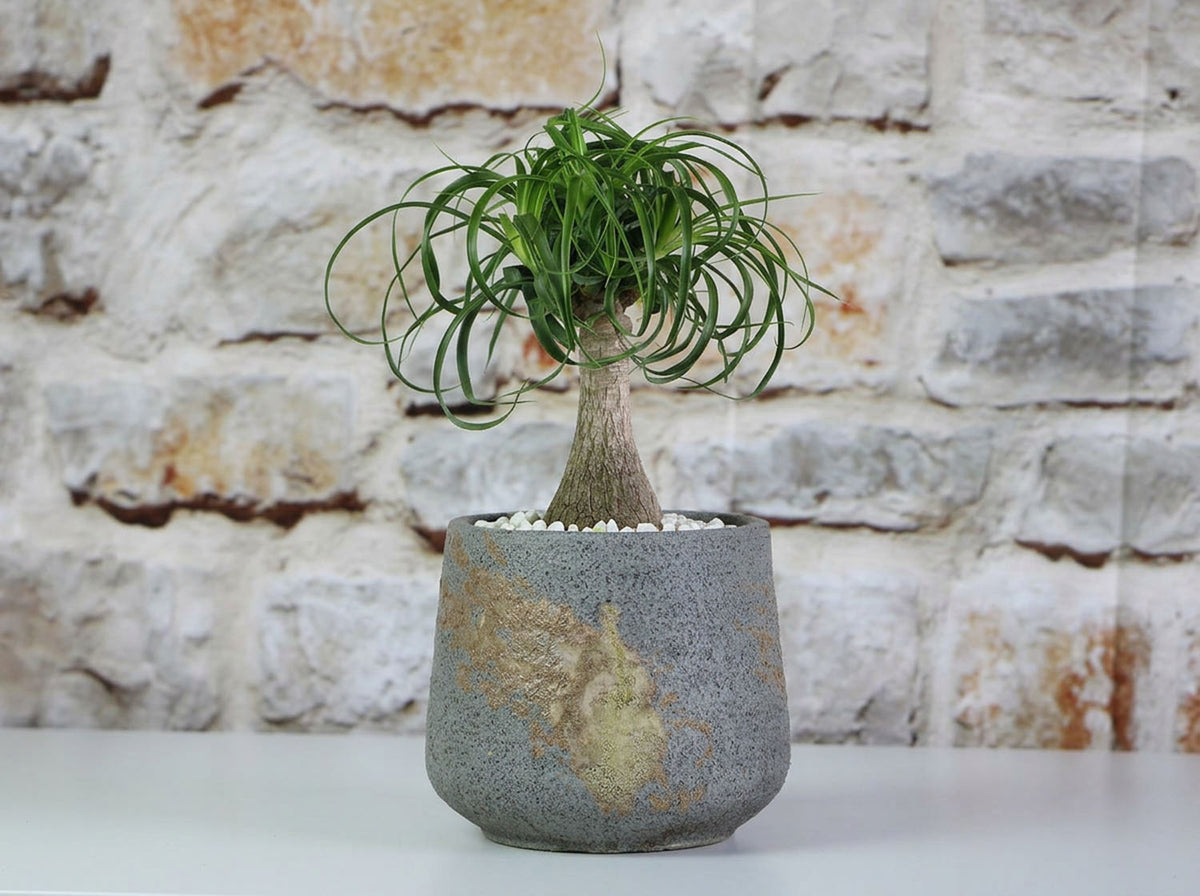 Round Hand Formed Planter