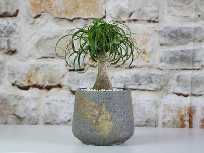 Round Hand Formed Planter