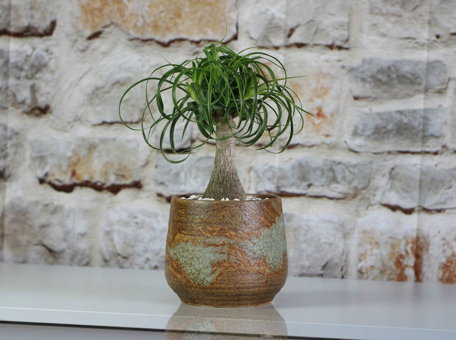 Round Hand Formed Planter