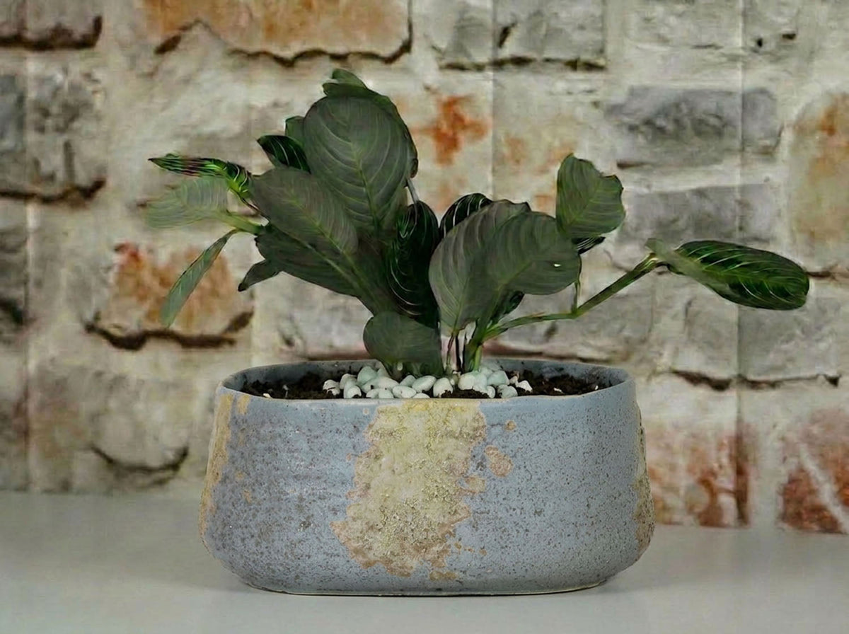Oval Hand Formed Planter