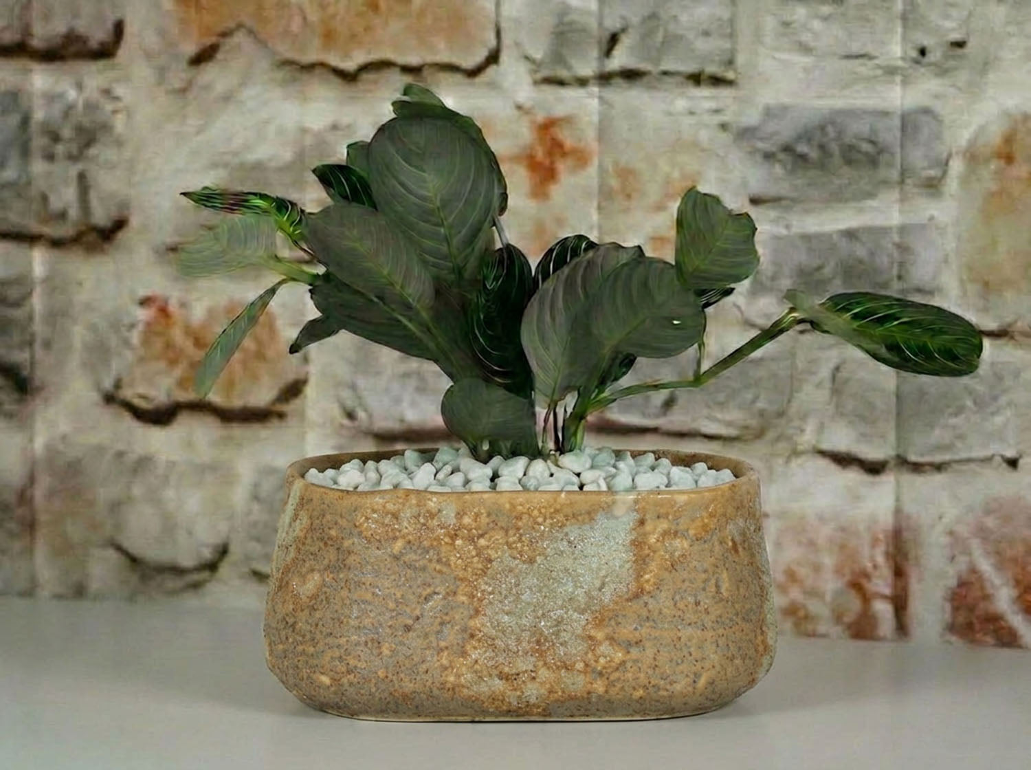 Oval Hand Formed Planter
